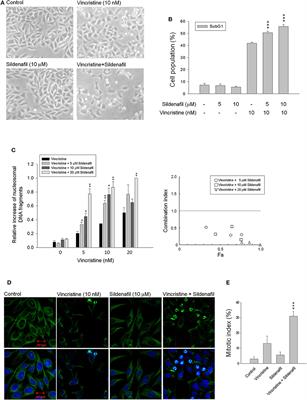 Phosphodiesterase Type 5 Inhibitors Synergize Vincristine in Killing Castration-Resistant Prostate Cancer Through Amplifying Mitotic Arrest Signaling